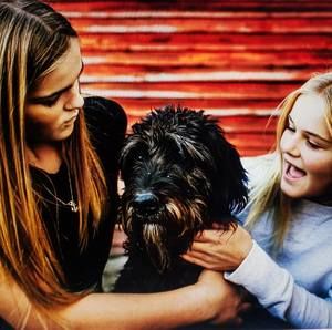 Meet your Posher, Jody